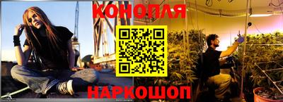 шишки Краснознаменск