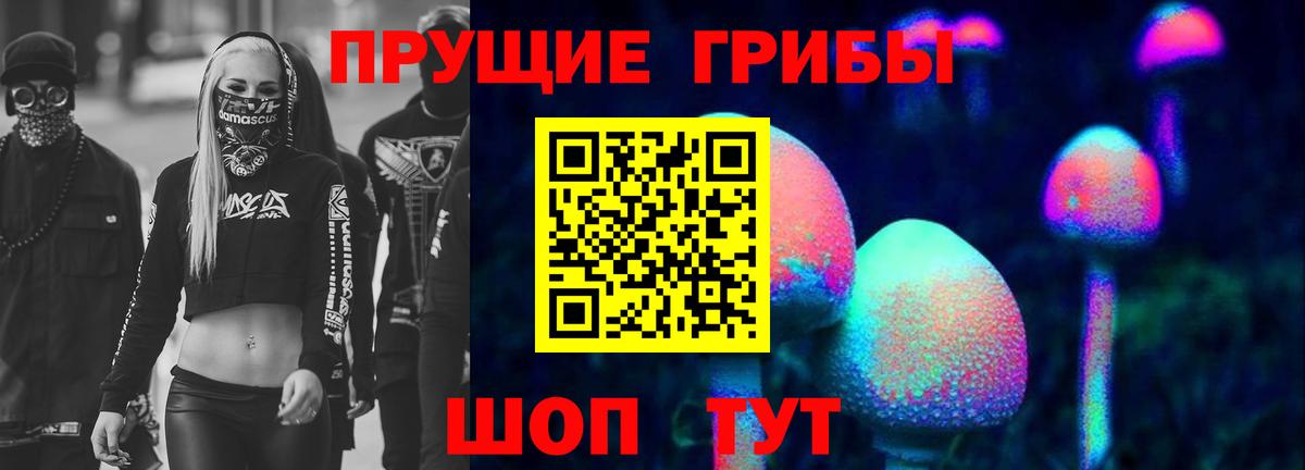 Псилоцибиновые грибы MAGIC MUSHROOMS Карачаевск