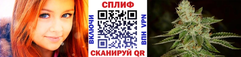 Бошки Шишки гибрид  Карачаевск 